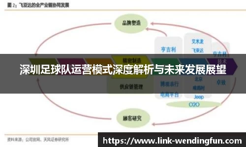 深圳足球队运营模式深度解析与未来发展展望